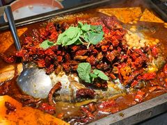 -探鱼·鲜青椒爽麻烤鱼(广州花都来又来店)