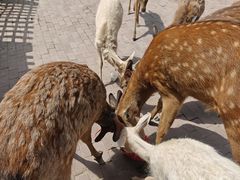 -水上乐园·欢乐世界