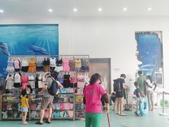 -黄金海岸水上乐园