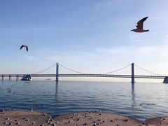 -星海湾跨海大桥