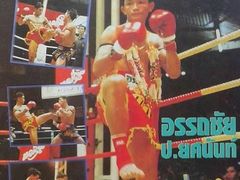 -花环泰拳·勒德斯拉泰拳馆(静安店)