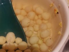 -松鹤楼·苏式汤面(虹桥天地店)