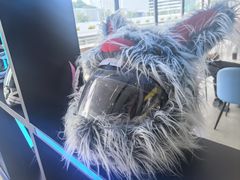 -赛卡联盟卡丁车馆(上海世博店)