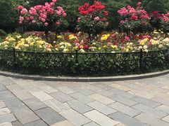 -堤角公园