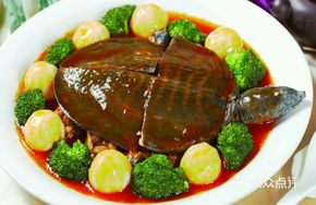 Freshwater Turtle Stew
