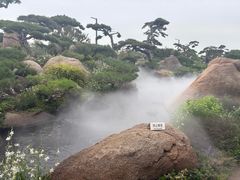 -罗红摄影艺术馆