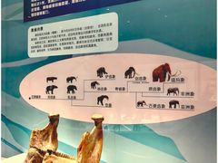 -珠海市博物馆
