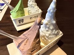 -野人先生现做冰淇淋(北京环宇荟店)