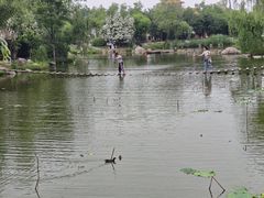 -中国翰园碑林