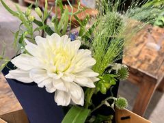 -自由生长植物工作室(深港花卉中心店)
