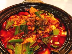 -陈麻婆豆腐总店