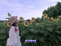 -广东花都香草世界旅游度假区