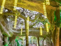 -横店影视城梦幻谷园区