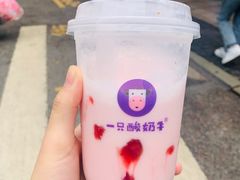 -一只酸奶牛(八一路店)