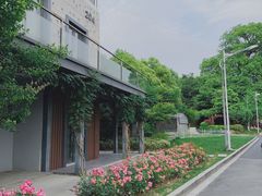 -小本鸡饭店(滨江白马湖店)