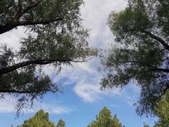 -北京西山国家森林公园