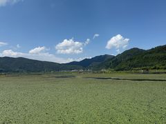 -腾冲北海湿地