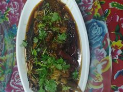 红烧鲤鱼-养顺农家院