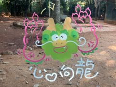 -海南热带野生动植物园