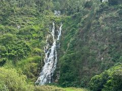 -水濂山森林公园