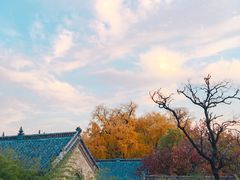 -浮来山风景区