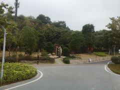 -飞凤山奥体公园
