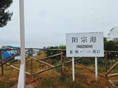 -阳宗海湿地