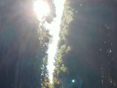 -山王坪喀斯特国家生态公园