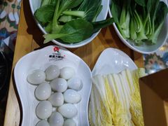 -丽清大别山鹅火锅(潜山路店)