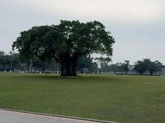-万绿园