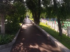 -黑龙江公园