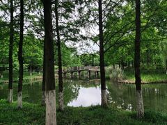 -绍兴镜湖国家城市湿地公园