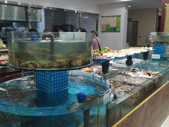 水产区-抹直口特色菜馆(一店)