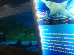 -厦门海底世界
