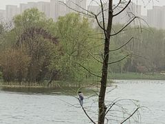 -昆山城市生态森林公园