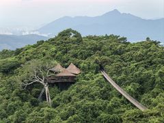 -三亚亚龙湾人间天堂鸟巢度假村