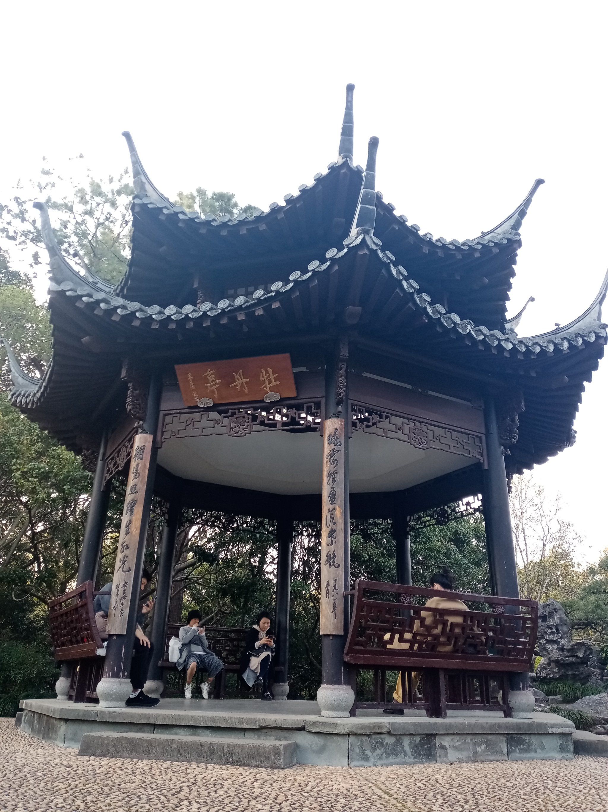牡丹亭看牡丹