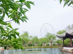 -无锡蠡湖国家湿地公园-蠡园