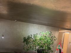 -隐溪茶馆(静安寺店)