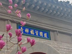 -红螺寺