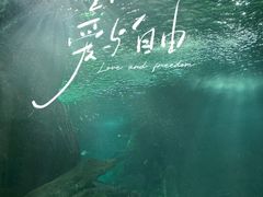 -福州罗源湾海洋世界旅游区