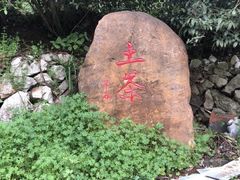 -杨家堂村