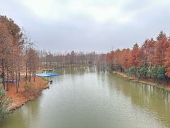 -上海长兴岛郊野公园