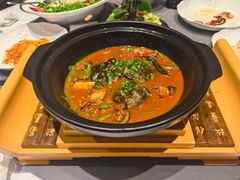 许家红焖八年甲鱼-许家菜(望江店)