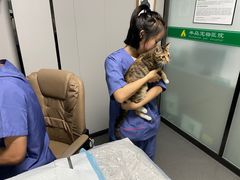 -半岛宠物医院24小时(科华中路店)