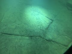 -白鹤梁水下博物馆