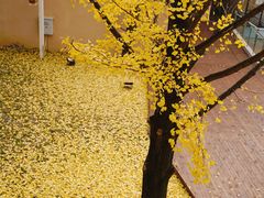 门面-重庆南山海昌汤都
