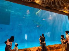 -华夏文旅海洋公园