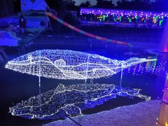 -北京鹿世界主题园