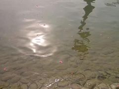 -裕华世纪公园